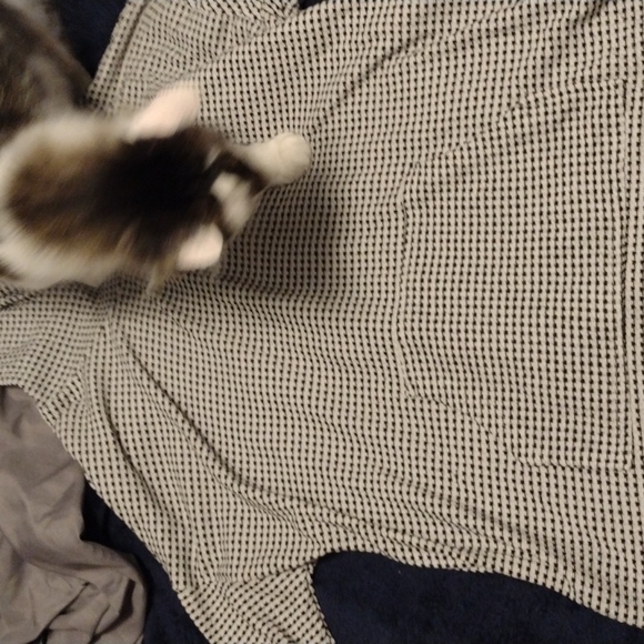 Shirt women's, size medium, black and white - Picture 1 of 2